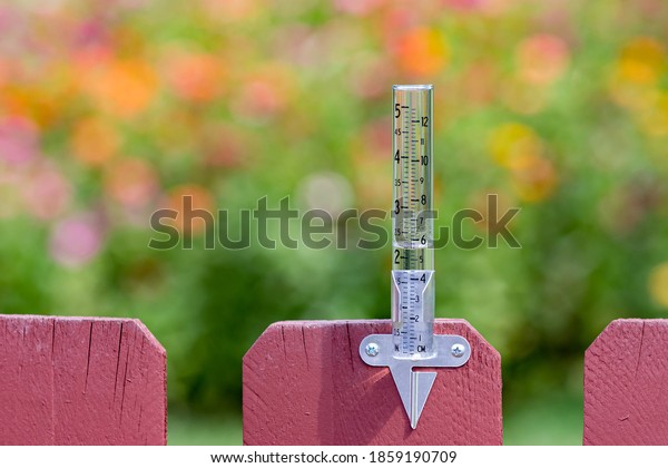 Closeup of rain gauge\
with rainwater, Concept of weather, rain, drought, flooding and\
precipitation.\
 \
