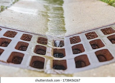 Closeup Of Rain Water Running Down Street Gutter And Flowing Into Storm Sewer System Drainage Grate