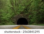 A closeup of Rattlesnake mountain tunnel with green trees Swain county, North Carolina