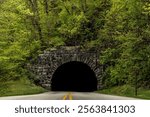 A closeup of Rattlesnake mountain tunnel with green trees Swain county, North Carolina