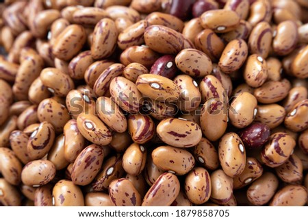 Closeup of raw pinto beans