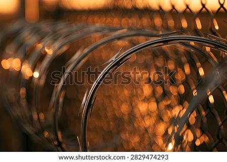 Close-up of razor wire coils on a chain-link fence, with blurred warm orange bokeh lights in the background.