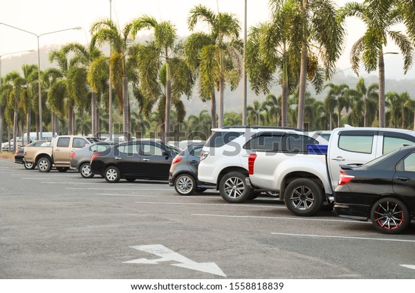 Closeup of\
rear, back side of black car and   other cars parking in outdoor\
parking lot with natural background in twilight evening. The mean\
of simply transportation in modern\
world.