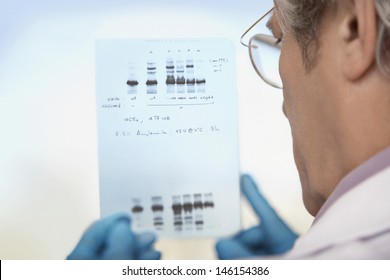 Closeup rear view of a cropped male scientist looking at DNA test results