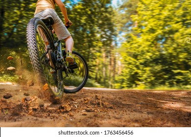 Close-up Of The Rear Wheel Of A Skidded Bicycle. Back View. Forest Background Blurred In Motion. Place For Text.