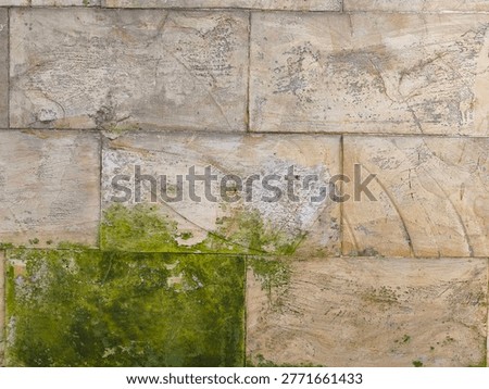Close-up of rectangular stone blocks or tiles covered in vibrant green moss and algae. The texture shows natural erosion and moisture accumulation on a masonry surface.