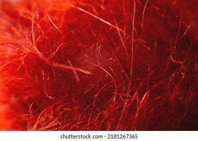 Close-up Of Red Acrylic Wool Fiber Yarn