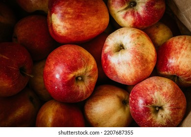 Close  up red apple background  Premium colorful abstract background and dynamic shadow background  consisting apples  fruit  gradient color  artistic texture  epic background  beautiful