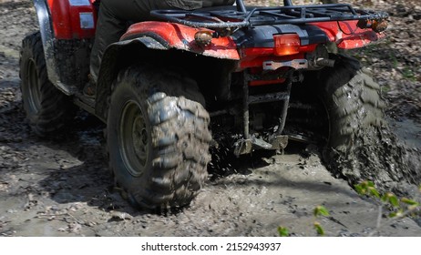 Close-up Of The Red ATV Riding Through The Muddy Woods. Rear View. Extreme Type Of Outdoor Activities. Riding On A Quad Bike