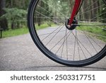 Close-up of a red bicycle wheel on a tranquil forest path, ideal for outdoor adventure and recreational cycling enthusiasts.