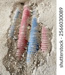 Close-up of red and blue corrugated electrical conduits partially embedded in concrete with surrounding construction debris. Captures an active wiring installation process.