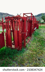 A Closeup Of Red Colored Cattle Squeeze Chute On Farm In Texas