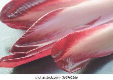 Closeup To Red Endive Leaves