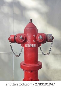 Close-up of a red fire hydrant labeled 