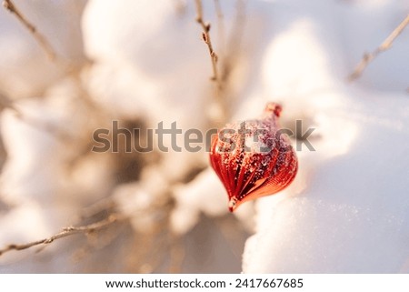 Closeup of red glass ball on spruce branch in forest, beautiful backlight, holiday card with space for text, New Year wallpaper, bokeh, pine needles, shining balls, sunny winter day, festive mood.