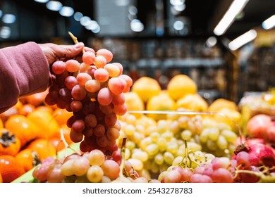 Closeup of red grape in a female hand at supermarket, woman looking for a grapes in a grocery store, female hand choosing grape in farm market, grocery shopping healthy lifestyle fresh fruits concept - Powered by Shutterstock