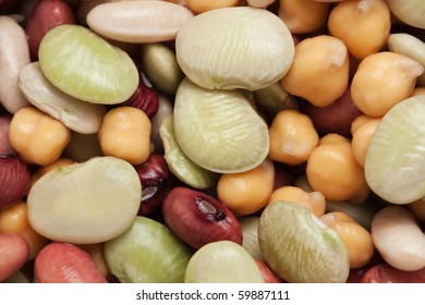 Closeup Of Red Kidney, Green Baby Lima, Garbazo And Cannellini Beans