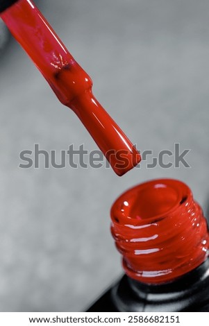 Similar – Image, Stock Photo Aesthetic artistic stylish photo