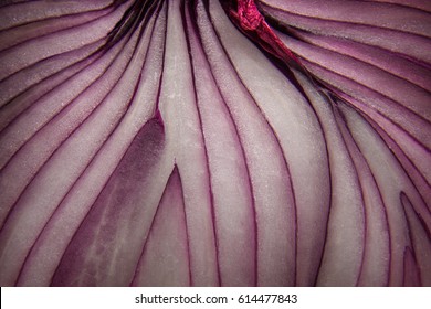 Closeup of red onion layers abstract background