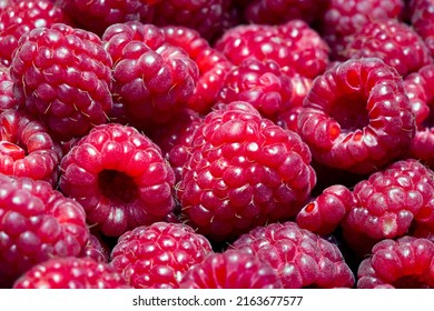 Closeup Of Red Raspberry Bunch On Display At Outdoor Market Stall. Sao Paulo, Brazil