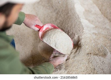 Closeup Of Red Scoop With Maize Meal In Hands Of Male Farmer Checking Quality Of Livestock Feed In Farm Storage..