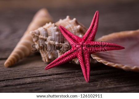 Close-up of red starfish seashell on old wooden board.