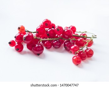 Close-up Of Redcurrant Sprigs On White Background