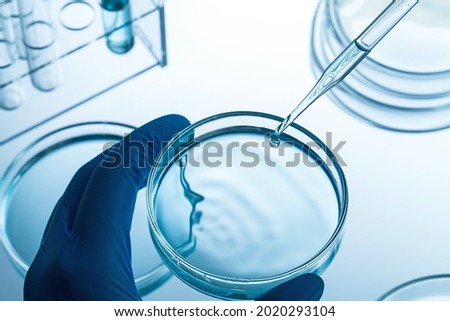 closeup of researcher's hand holding a culture dish and pipette with liquid for scientific research.