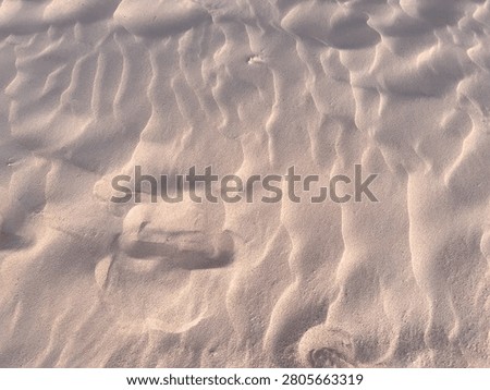 Close-up of Rippled Sand Texture