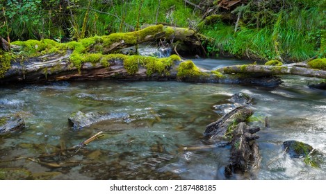 Closeup River Rushing In Mountain Forest