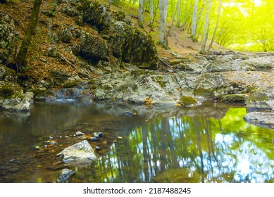 Closeup River Rushing In Mountain Forest