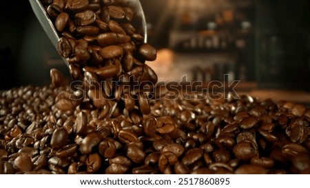 Close-up of roasted coffee beans falling from a steel spoon. Cafe interior on background.