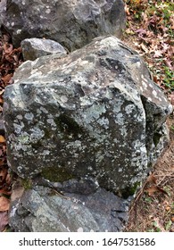 Closeup of rock with lichen in wooded area