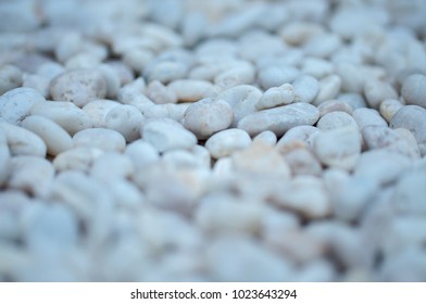 Closeup rock texture  blurry background.