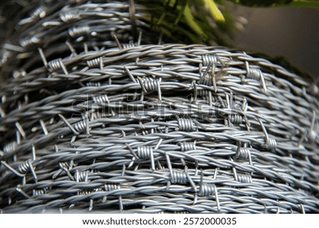 Close-up of a roll of barbed wire, showcasing the sharp metal spikes and intricate twists.