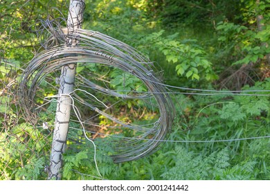 Closeup Of A Rolled Metal Wire Used In The Fence