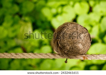 Closeup Rope Knot, Tree, Tree trunk, Rope tied to a Tree Trunk with a green plant background, Green, Abstract Rope and Trunk