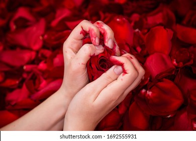 Close-up of a rose flower crushed in a fist. Bloodied female hands on a background of roses. Concept art of unhappy love.