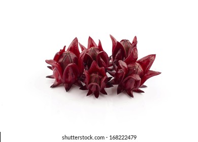 Closeup of roselle flowers in isolated white background