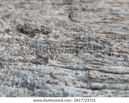 Close-up of rough concrete surface texture with natural patterns, ideal for background, construction, architecture, industrial, and design projects.