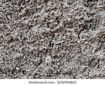 Close-up of rough concrete wall with bumpy surface, moss patches, and signs of moisture—ideal for texture references, weathered material studies, or urban decay visuals.
