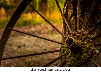 A closeup of a rustic old iron wagon wheel covered in moss leaning against a tree abandoned in a woods or forest with autumn leaves in the background. - Powered by Shutterstock