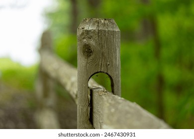 Close-up of a rustic wooden fence post in a lush green forest, emphasizing texture and nature's simplicity. - Powered by Shutterstock