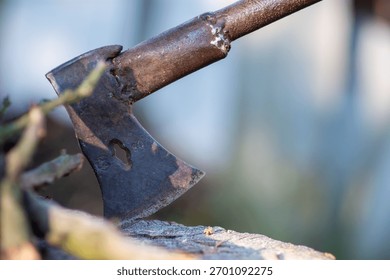 Close-up of a rusty axe head embedded in a tree stump outdoors.