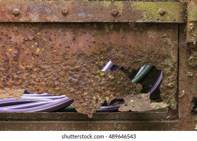 Closeup Of A Rusty, Broken Garden Door With View On A Purple And A Green Water Hose Through The Gaps