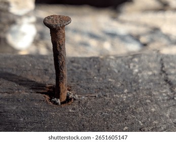 Close-up of a rusty nail embedded in aged wooden plank, showing corrosion and decay in natural outdoor lighting