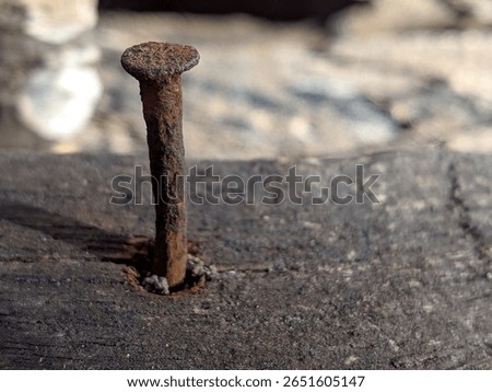 Close-up of a rusty nail embedded in aged wooden plank, showing corrosion and decay in natural outdoor lighting
