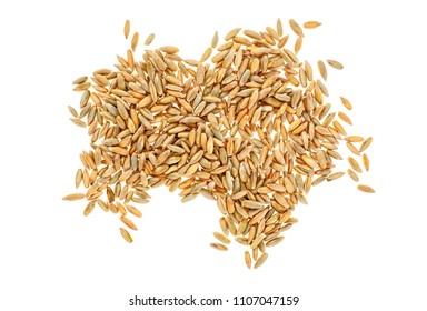 Closeup of rye grain isolated on white background - Shutterstock ID 1107047159