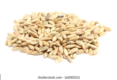 Closeup Of Rye Grain Isolated On White Background