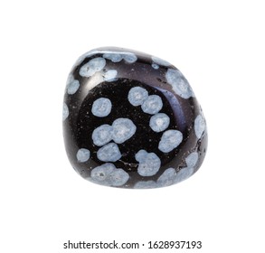 closeup of sample of natural mineral from geological collection - tumbled Snowflake Obsidian gem stone isolated on white background - Shutterstock ID 1628937193